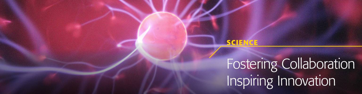 Institute of Electrical and Electronics Engineers - IEEE